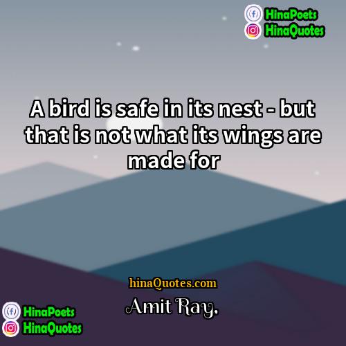 Amit Ray Quotes | A bird is safe in its nest